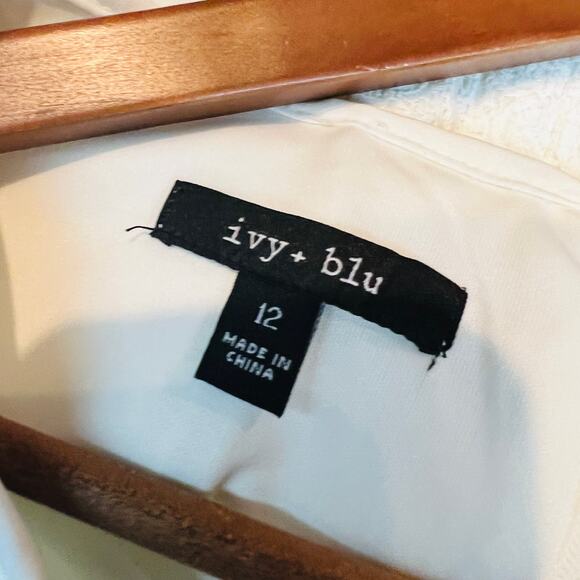 NEW! Ivy + Blue Lace Topped Sheath Dress Cream 12 - Picture 5 of 5